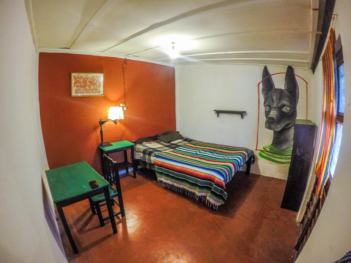 Hostel El Nagual Сан-Кристобаль-де-Ла-Касас Экстерьер фото