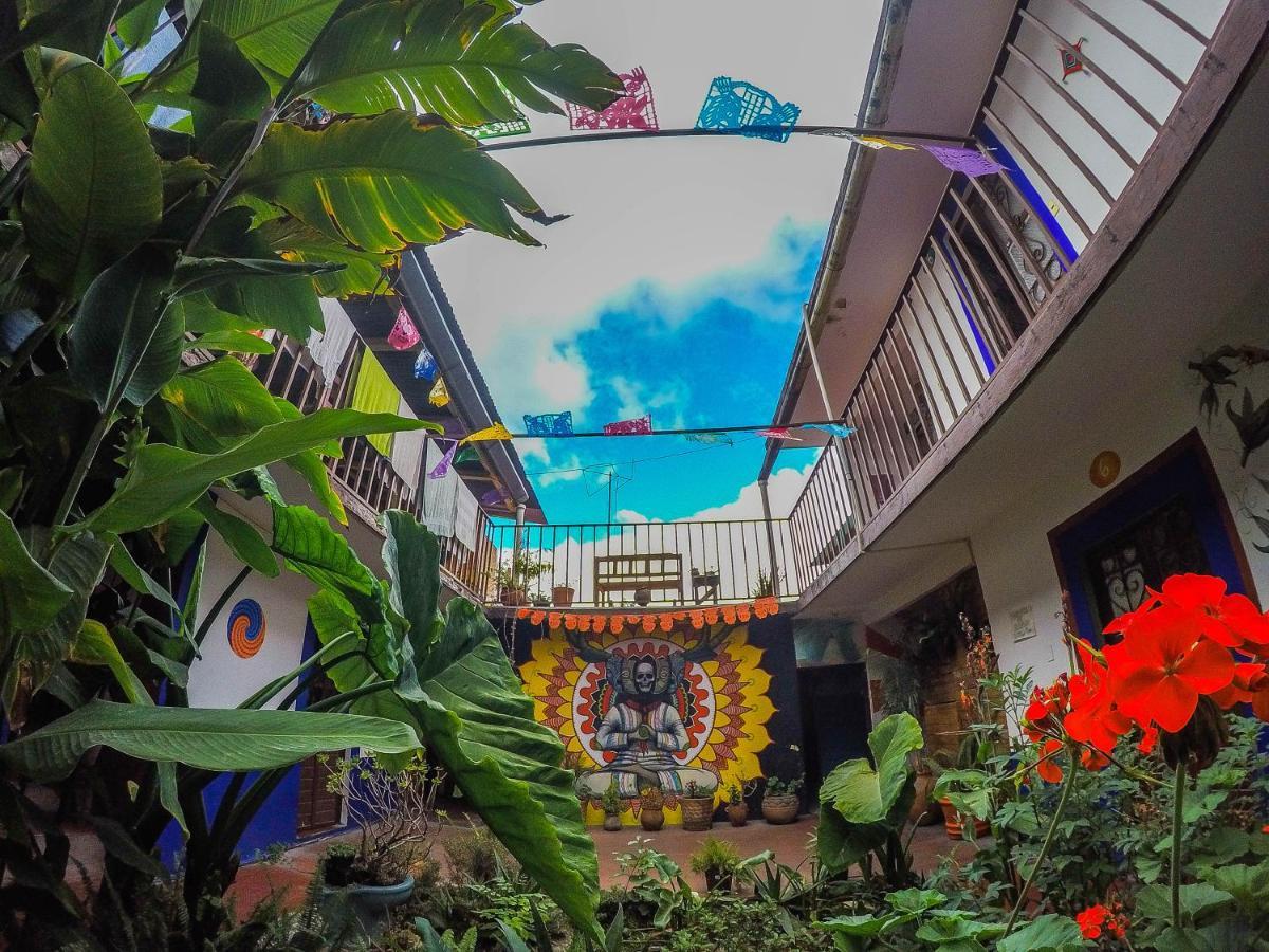 Hostel El Nagual Сан-Кристобаль-де-Ла-Касас Экстерьер фото