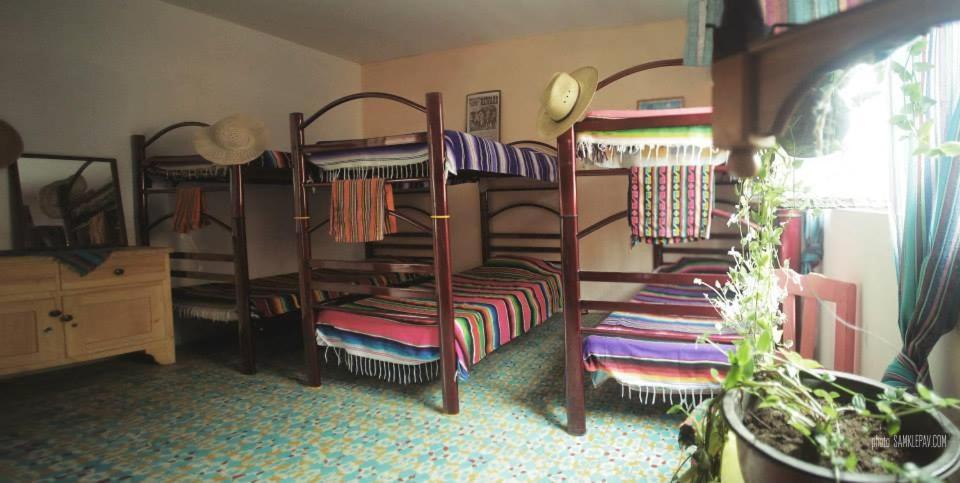 Hostel El Nagual Сан-Кристобаль-де-Ла-Касас Экстерьер фото
